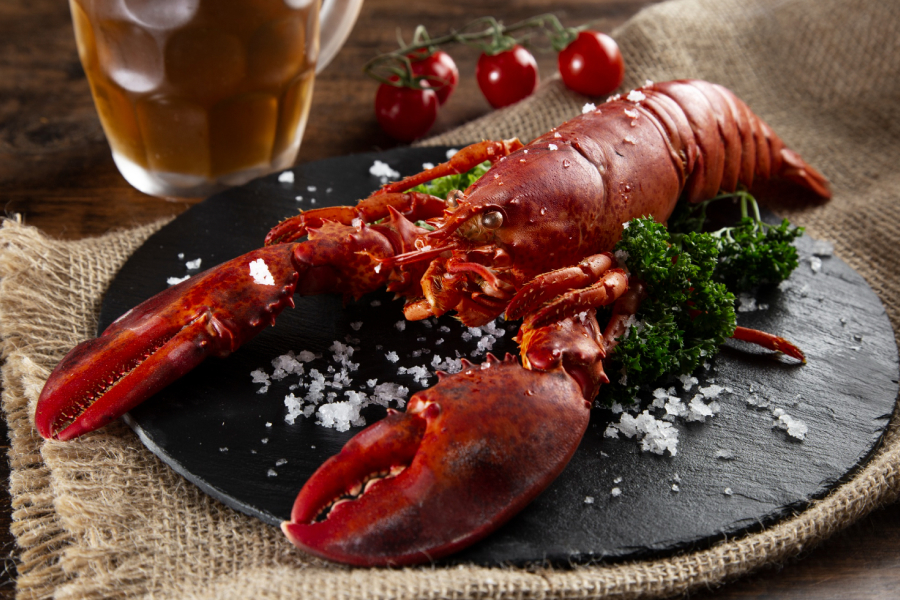 Lobster